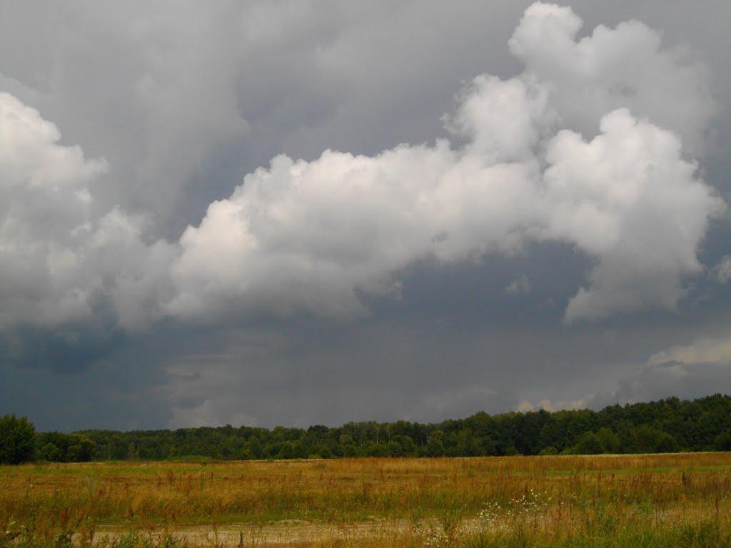 Гайове з panoramio.com - Гайове