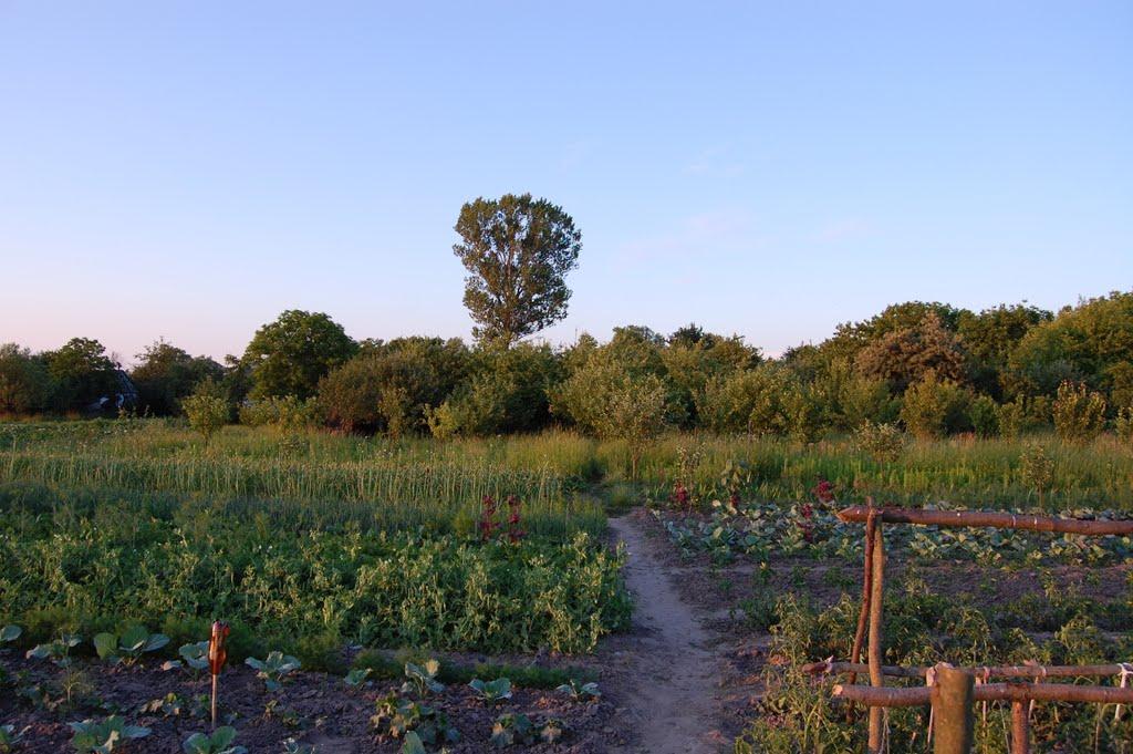 Краківщина з panoramio.com - Краківщина
