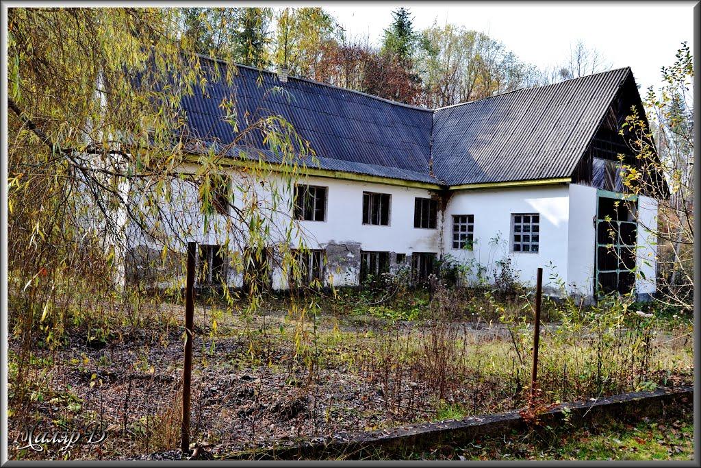 Росішка з panoramio.com - Росішка