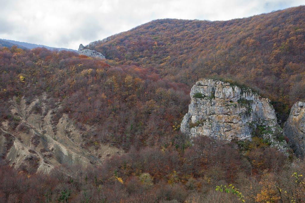 Красноселівка з panoramio.com - Красноселівка