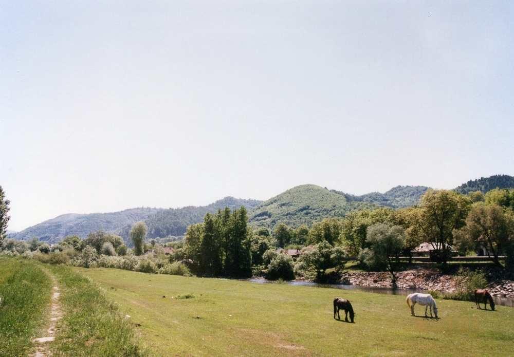 Біла Церква з panoramio.com - Біла Церква