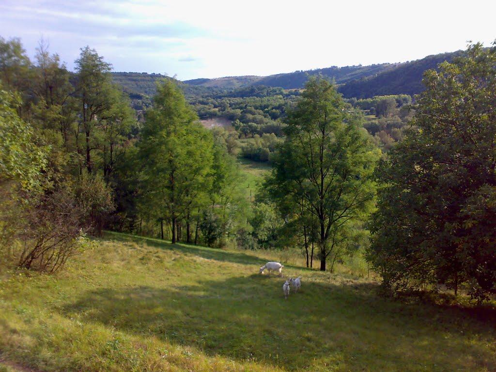 Миньківці з panoramio.com - Mynkivtsi