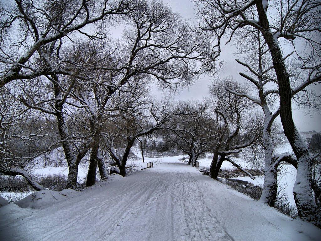 Борова з panoramio.com - Borova