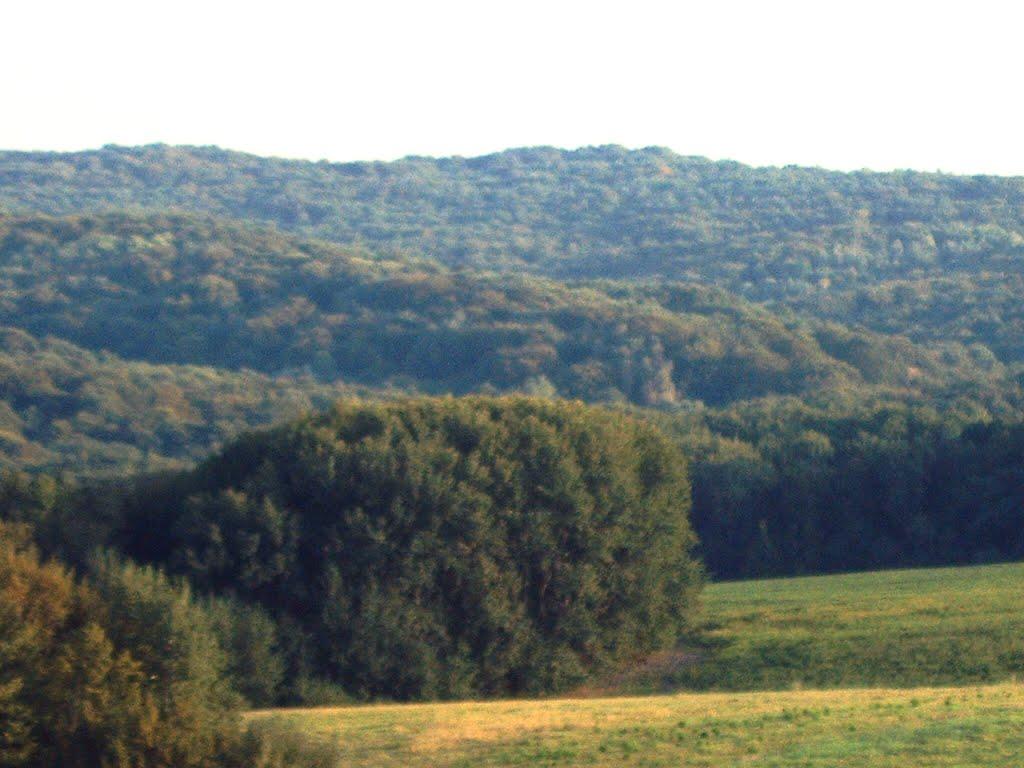 Дяківці з panoramio.com - Дьяковцы