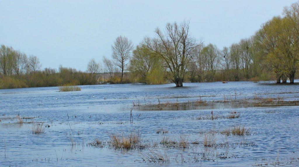 Кузнецовськ з panoramio.com - Varash