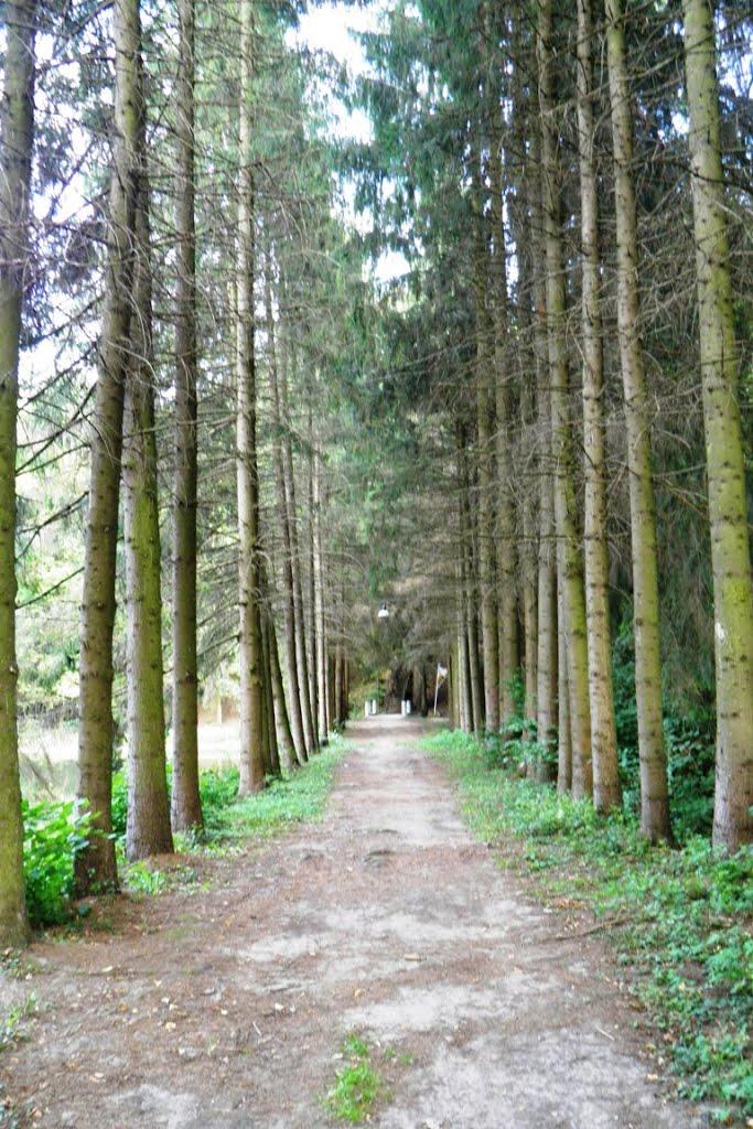 Воротнів з panoramio.com - Воротнев