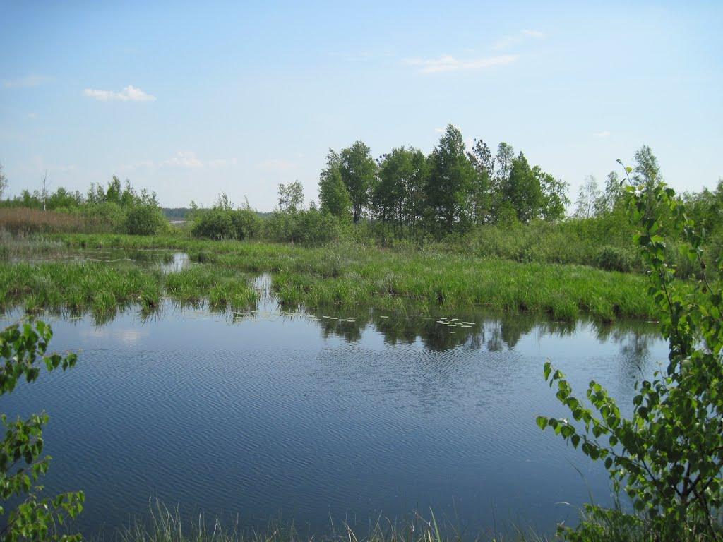 Страшеве з panoramio.com - Страшево