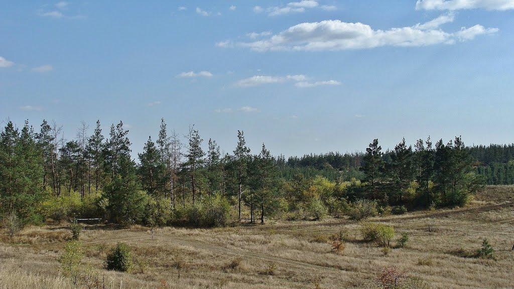 Новоклинівка з panoramio.com - Новоклиновка