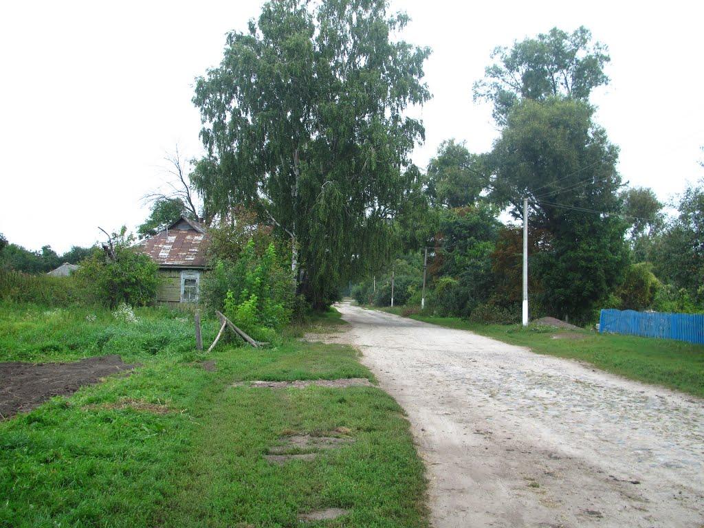 Степне з panoramio.com - Степне