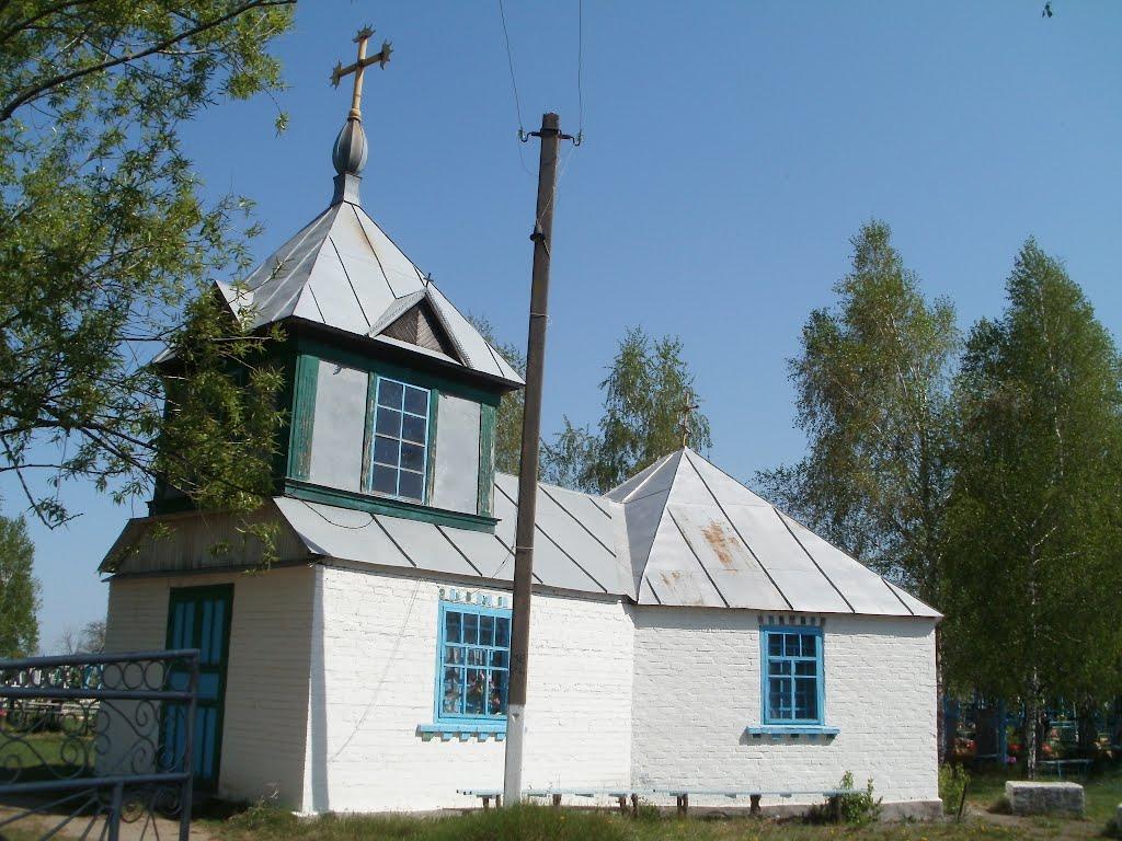 Четвертинівка з panoramio.com - Четвертинівка