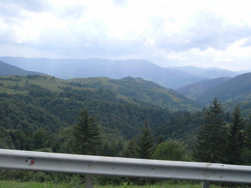 Противень з panoramio.com - Противень