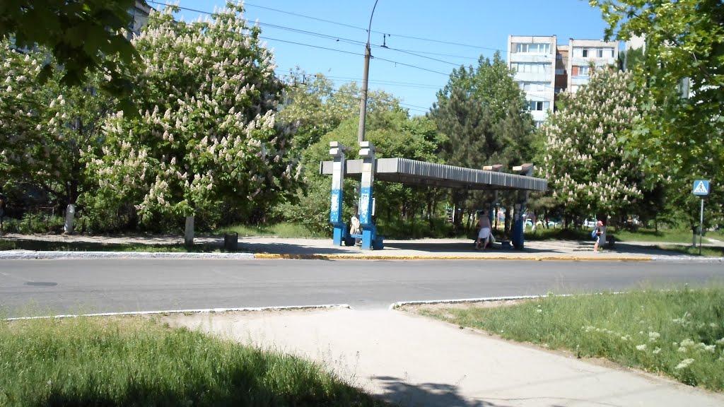 Олег з panoramio.com - Олег