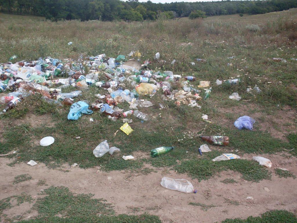 Первомайськ з panoramio.com - Первомайськ