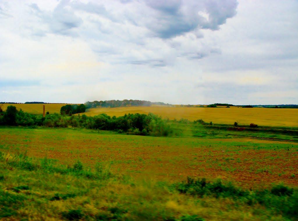 Лисянка з panoramio.com - Лисянка