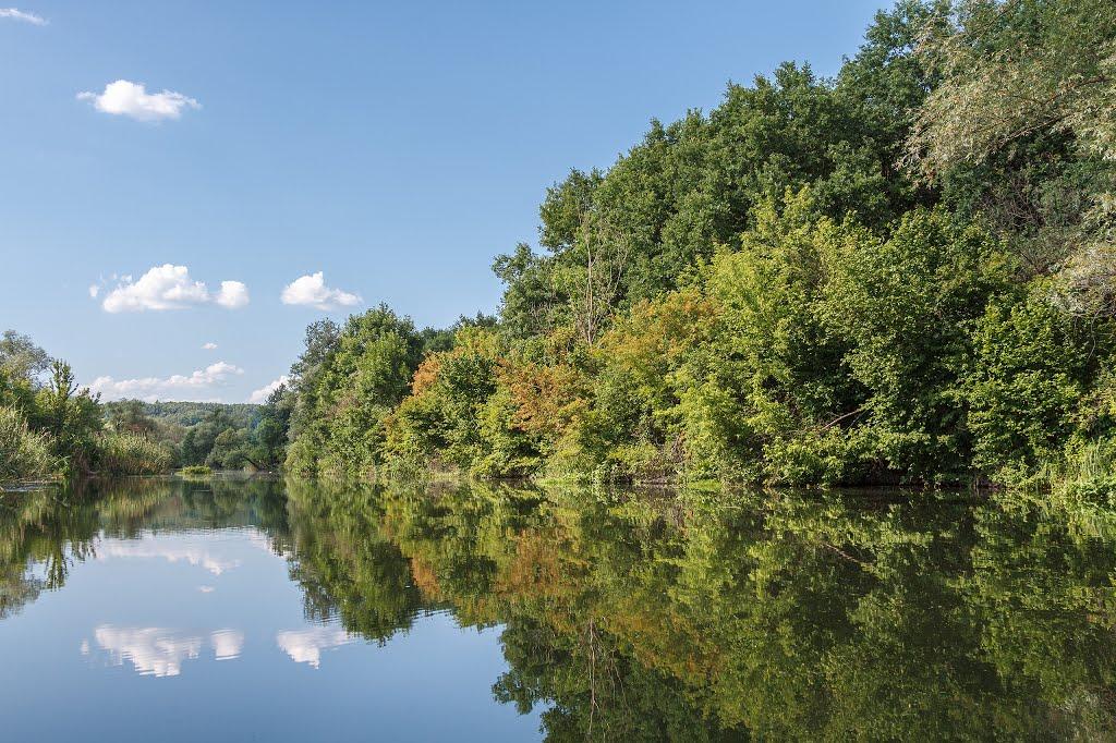 Кочеток з panoramio.com - Кочеток