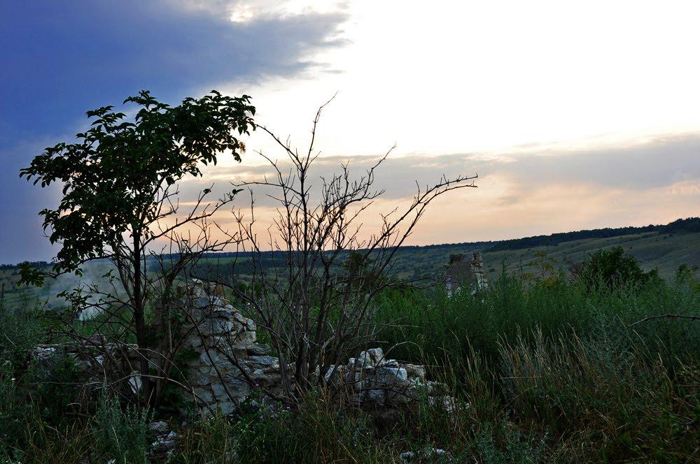 Великий Суходіл з panoramio.com - Великий Суходол