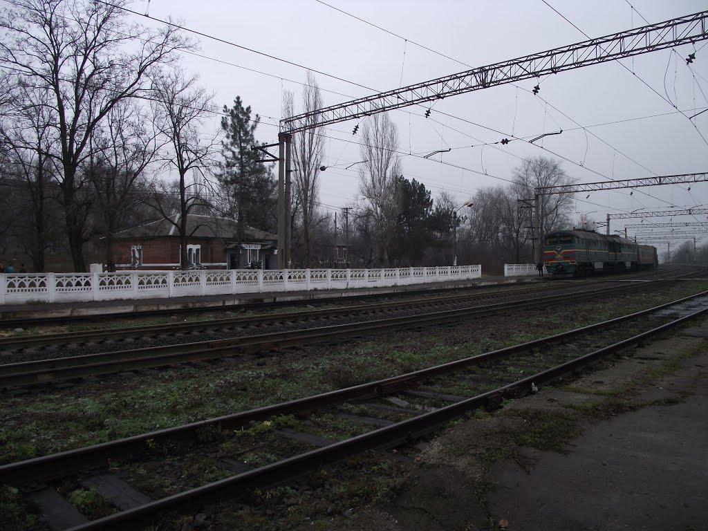 Верхньоторецьке з panoramio.com - Верхньоторецьке