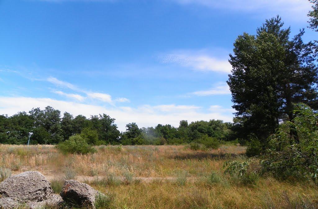 Чапаєвка з panoramio.com - Чапаевка