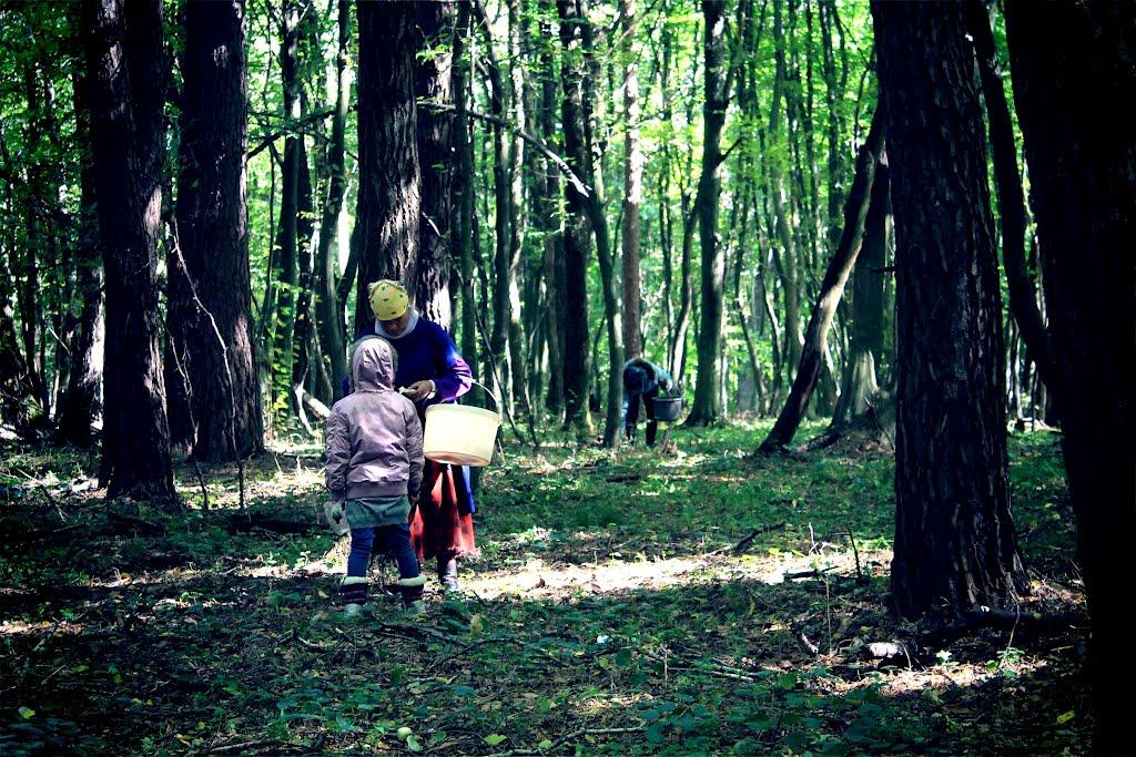 Воротнів з panoramio.com - Воротнев