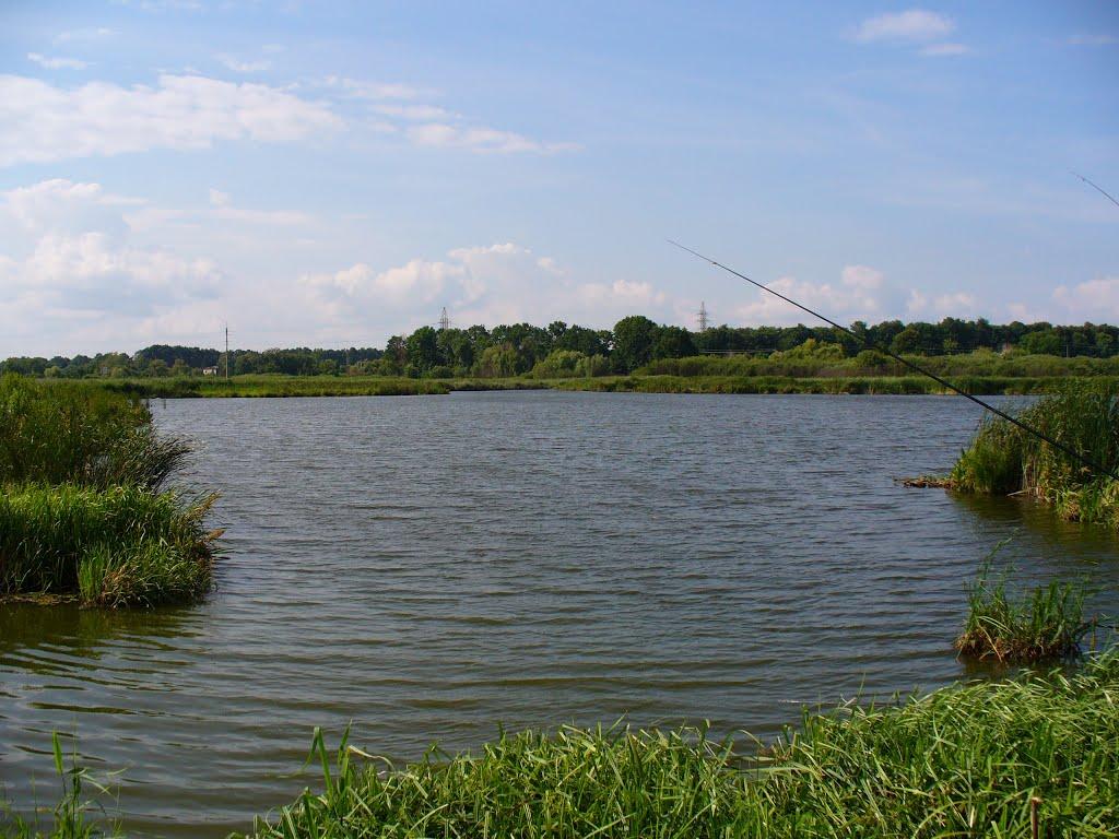 Зарванці з panoramio.com - Зарванці