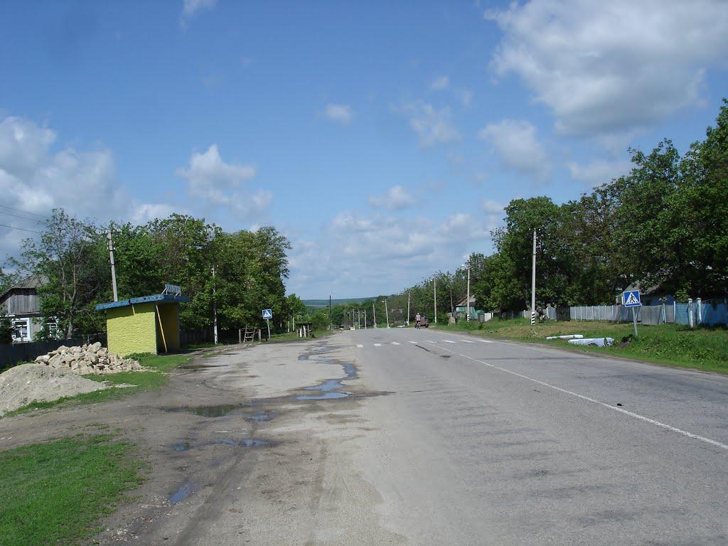 Миньківці з panoramio.com - Миньківці