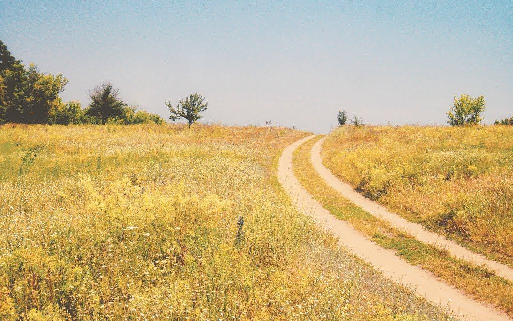 Осички з panoramio.com - Осички