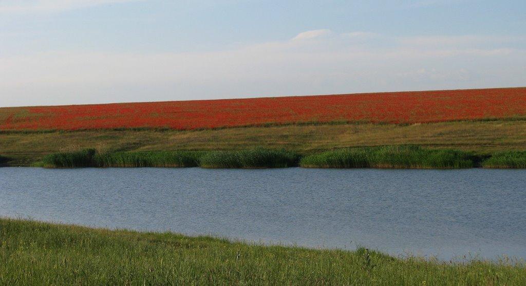 Переможне з panoramio.com - Переможное