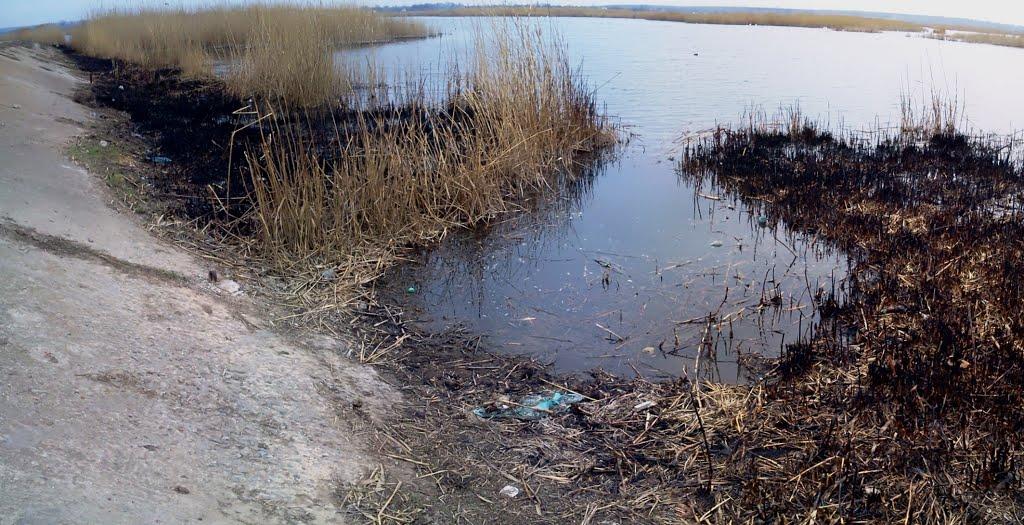 Кучурган з panoramio.com - Кучурган