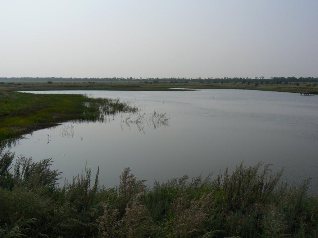 Світле з panoramio.com - Світле