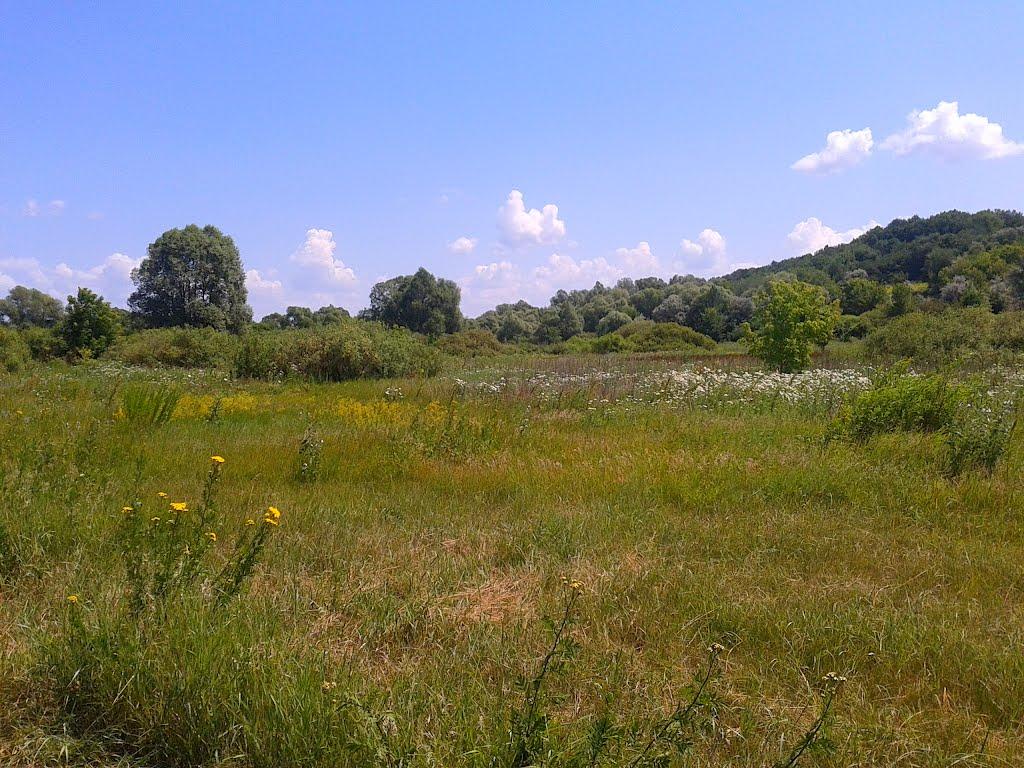 Стара Покровка з panoramio.com - Стара Покровка