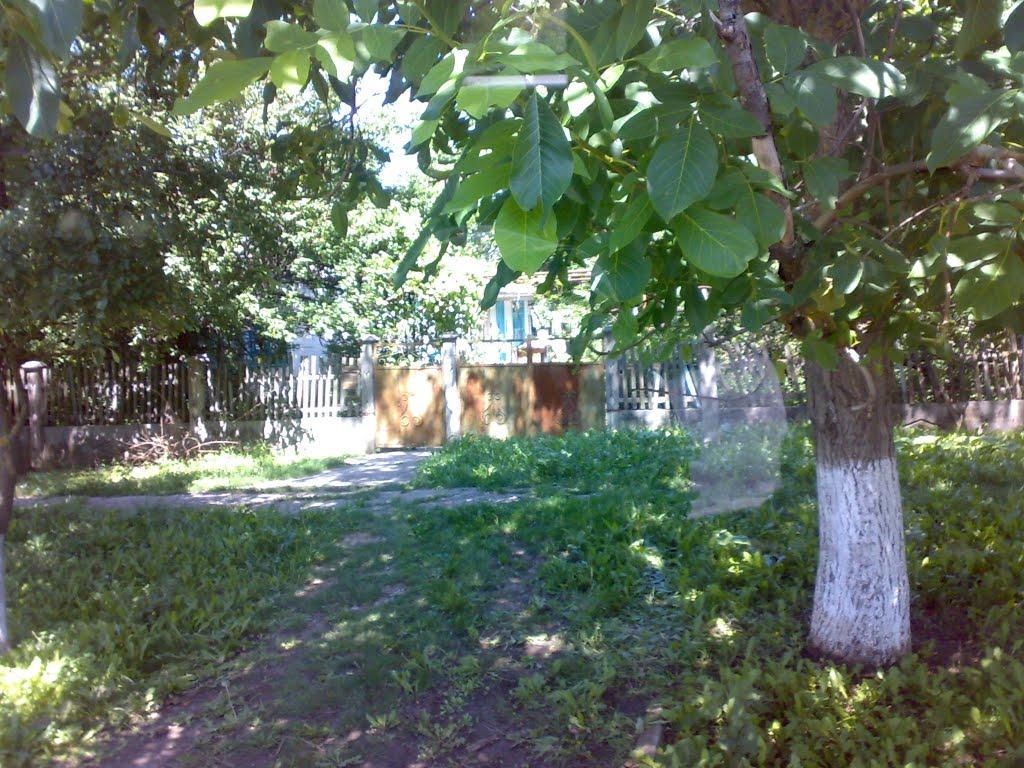 Урожайне з panoramio.com - Урожайне