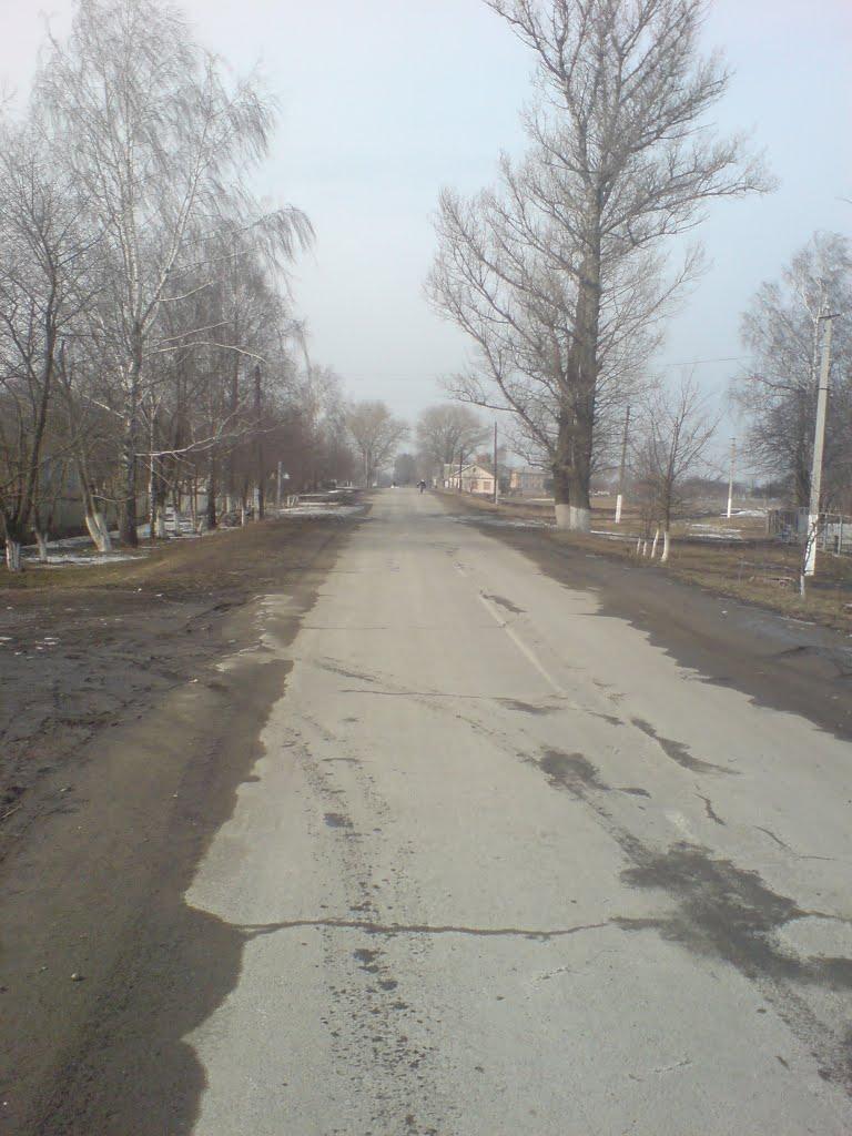 Землянка з panoramio.com - Землянка