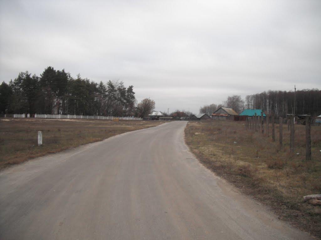 Любитове з panoramio.com - Любитово
