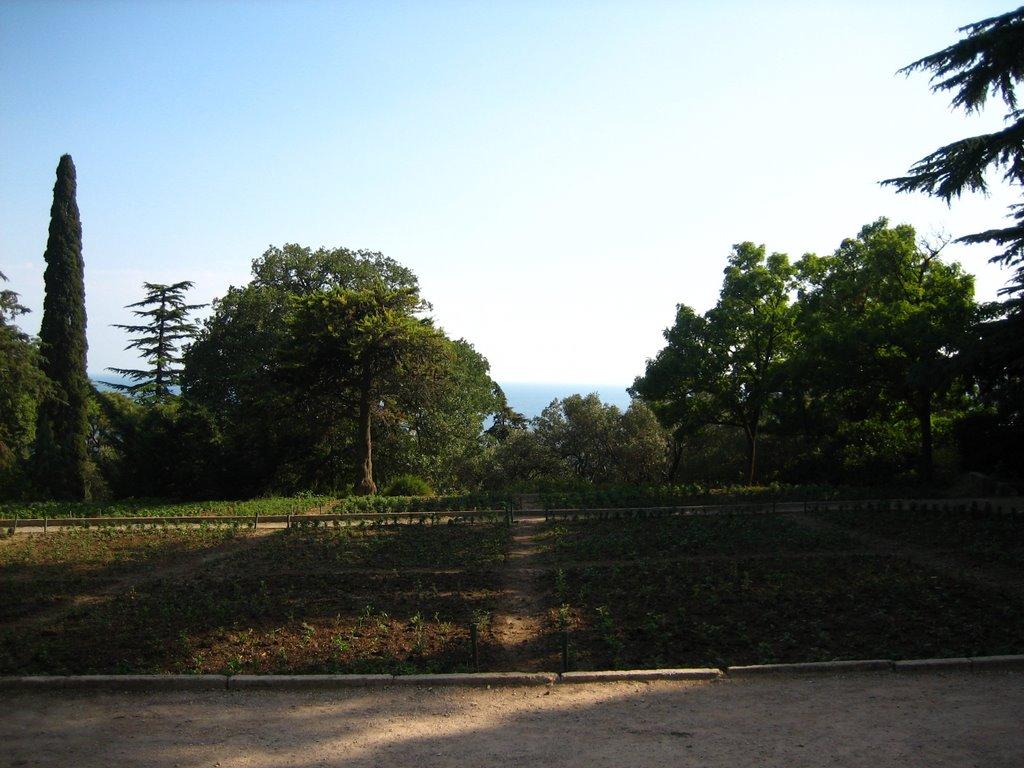 Курпати з panoramio.com - Курпати