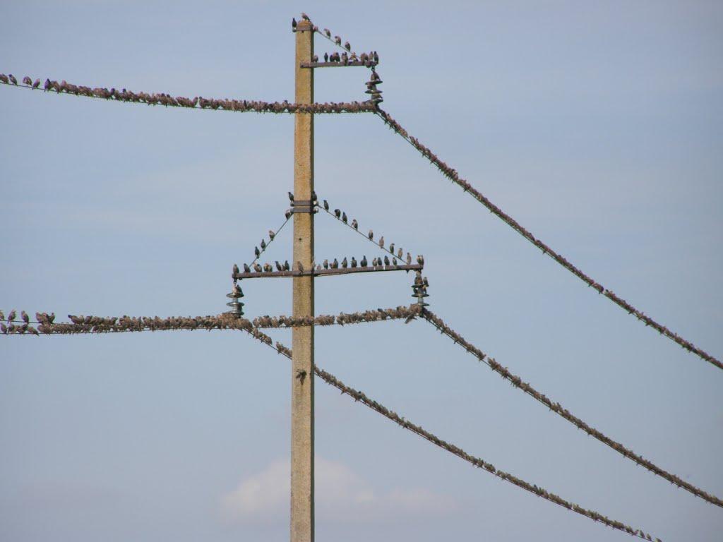 Хмільно з panoramio.com - Хмільно