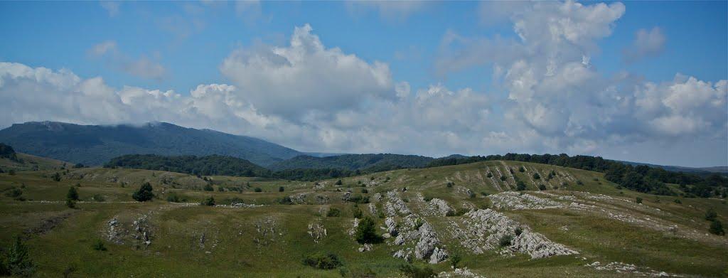 Пчолине з panoramio.com - Pcholyne
