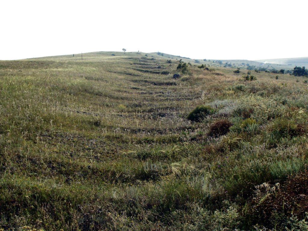 Мисове з panoramio.com - Мысовое