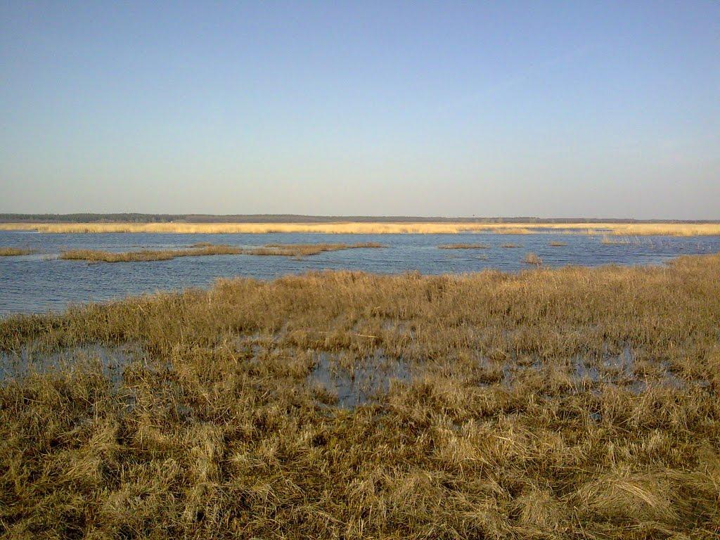 Булахівка з panoramio.com - Булахівка