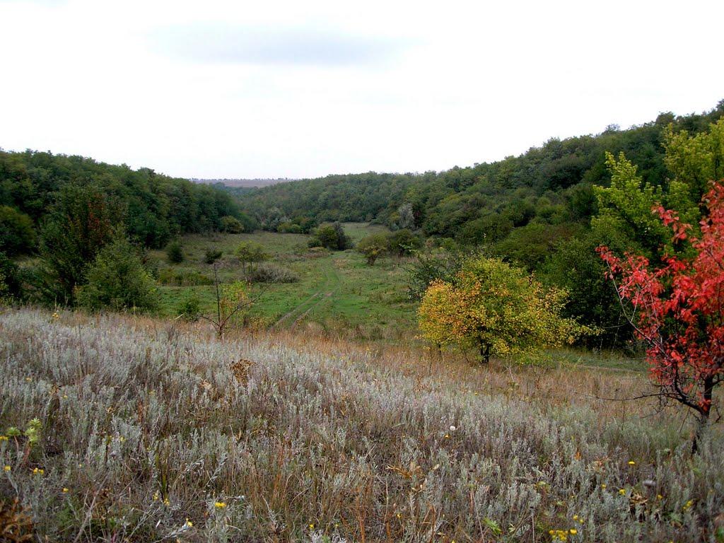 Дніпрельстан з panoramio.com - Дніпрельстан