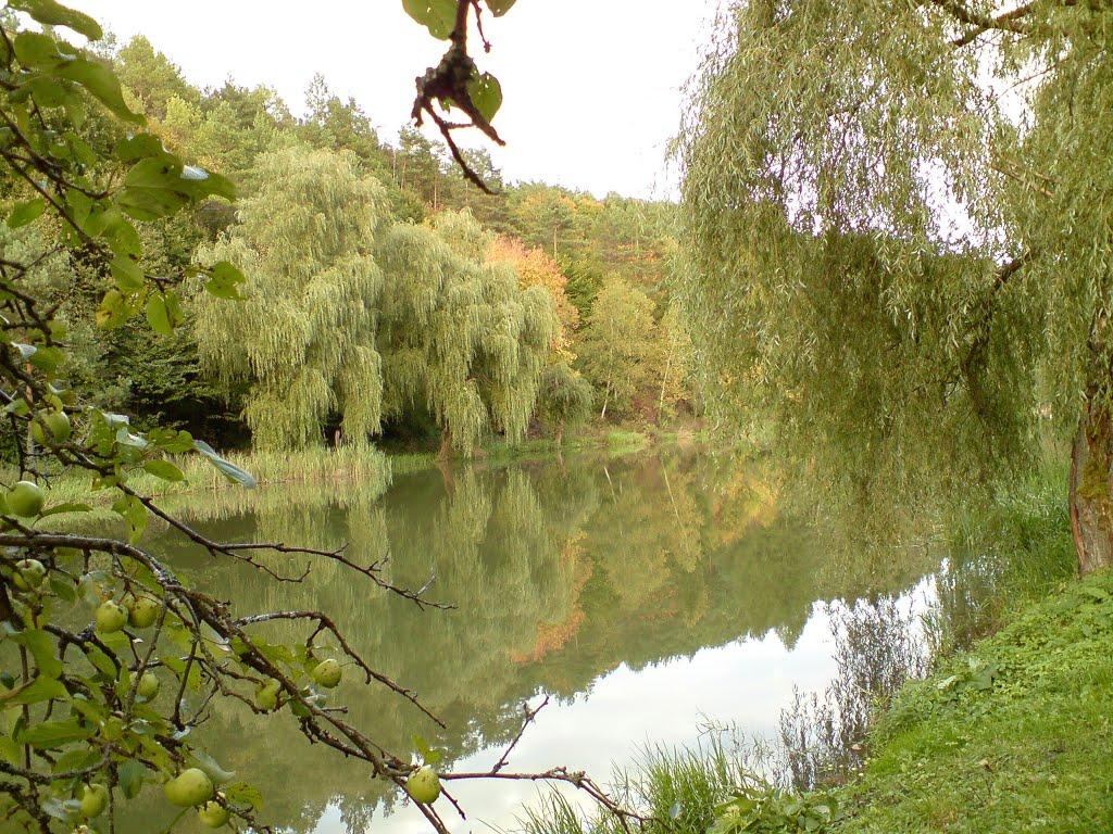 Рогачин з panoramio.com - Рогачин