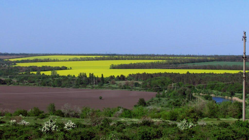 Новокурське з panoramio.com - Новокурське