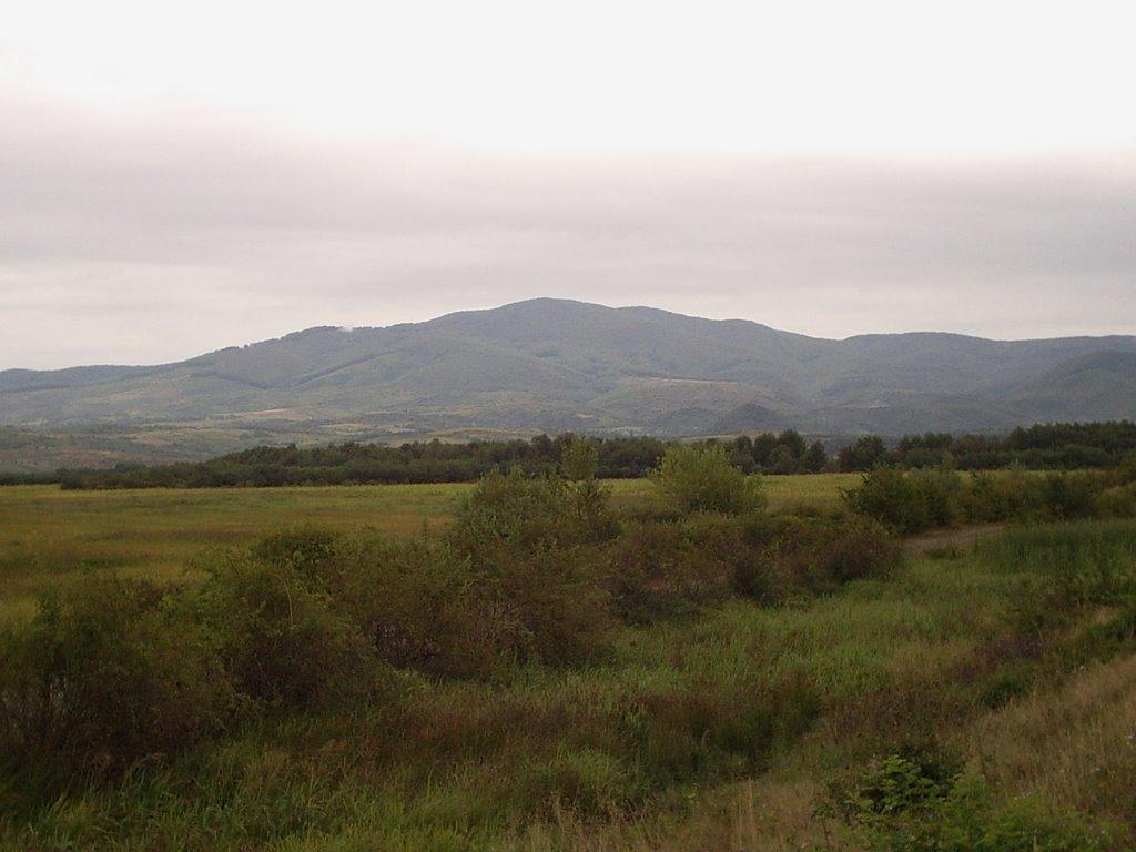 Гудя з panoramio.com - Гудя