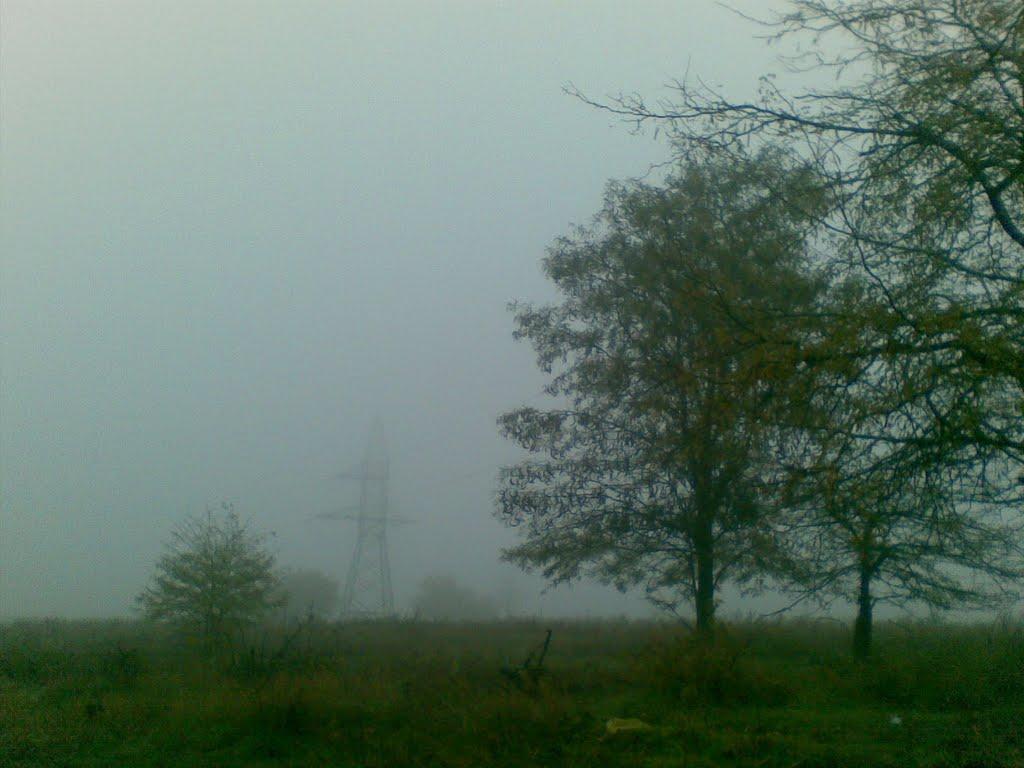 Світле з panoramio.com - Светлое