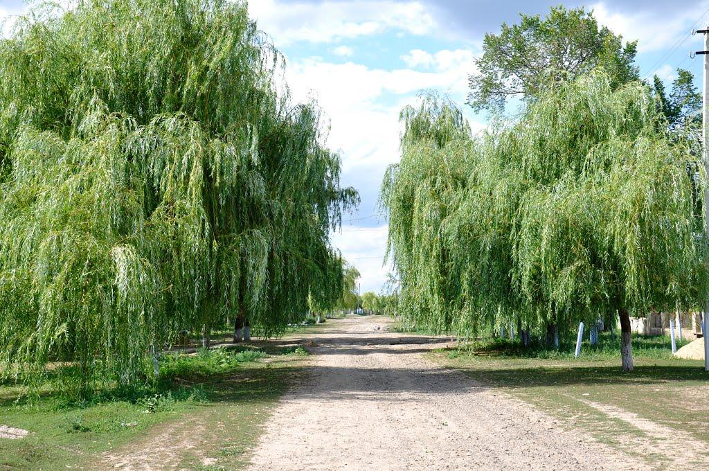 Малоярославець Другий з panoramio.com - Малоярославець Другий