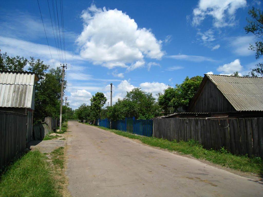 Салтикова Дівиця з panoramio.com - Салтикова Дівиця