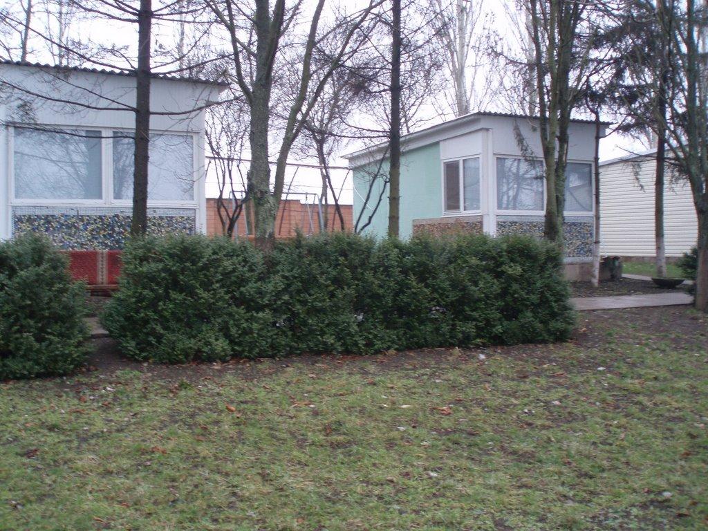 Новохортиця з panoramio.com - Новохортица