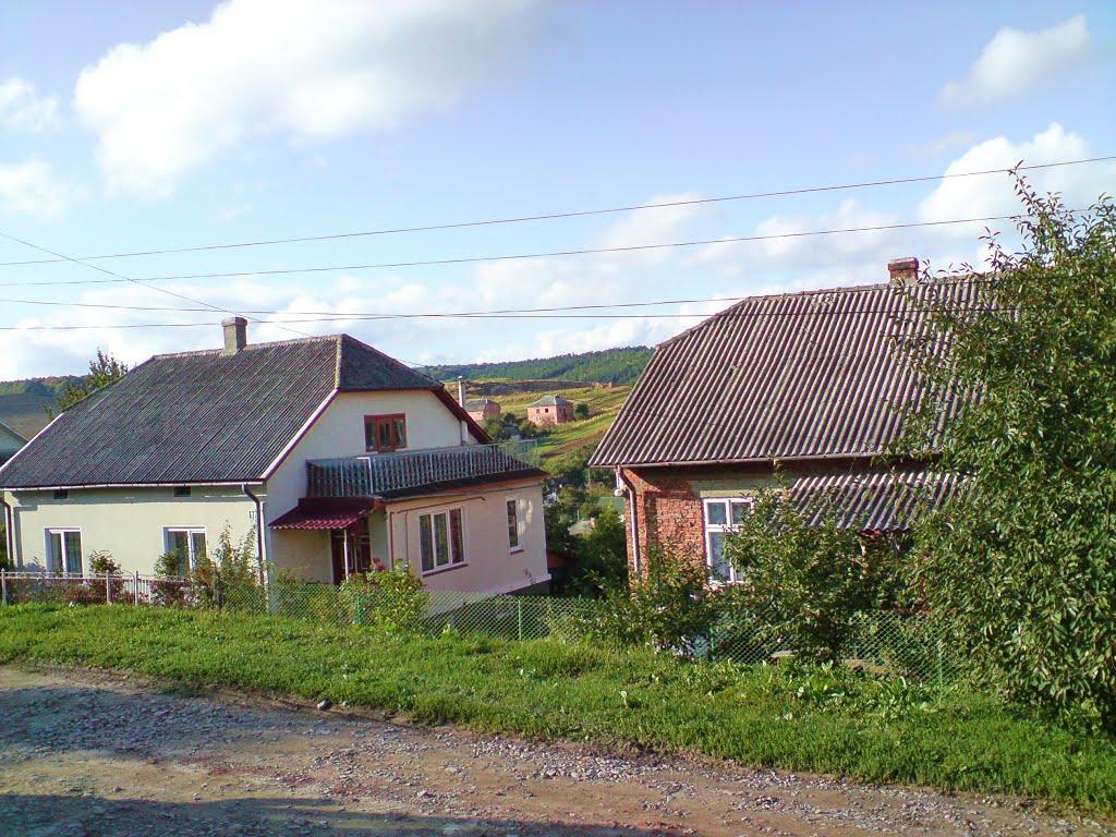 Лісники з panoramio.com - Лесники