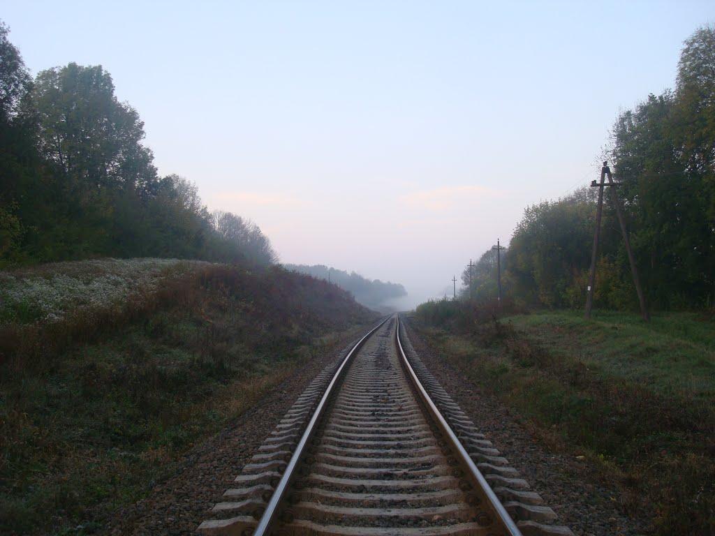 Городок з panoramio.com - Городок