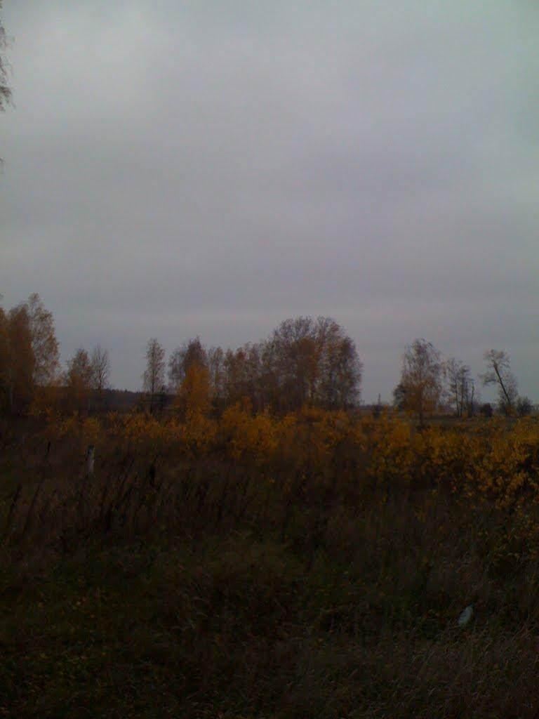 Озера з panoramio.com - Озера