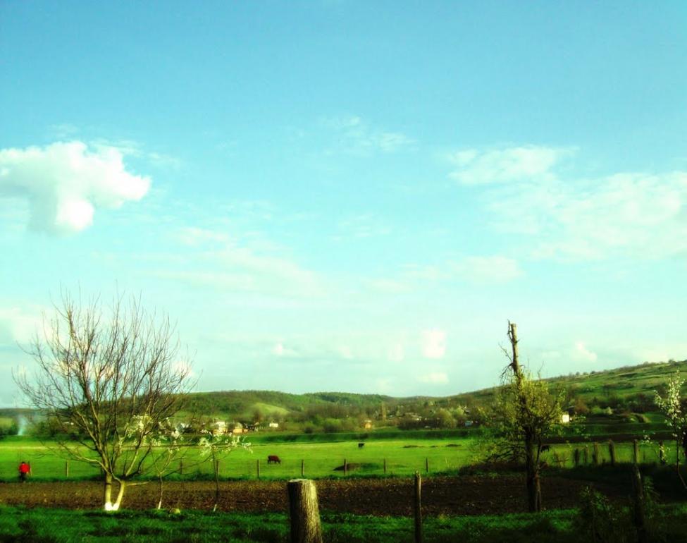 Ананьїв з panoramio.com - Ананьїв